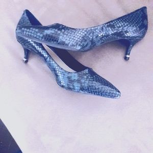 Blue & black snake skin low hill.